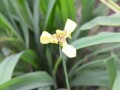Tn 0542 DSC 5865